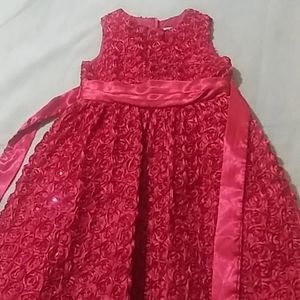 Girls Dress Red Roses 6X